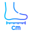 Foot Assessment Icon