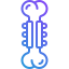 Orthopedic Surgery Icon